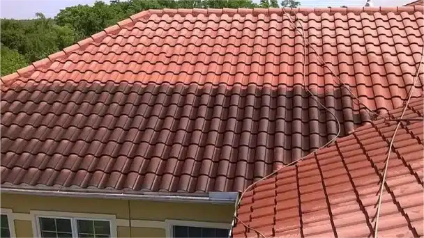 roof cleaning company in valrico fl